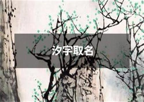 汐字取名