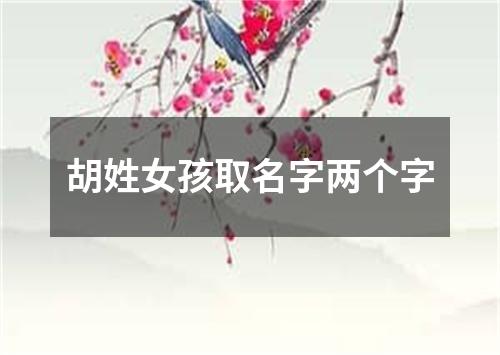 胡姓女孩取名字两个字