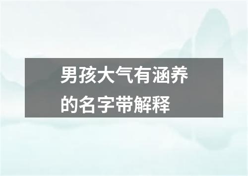 男孩大气有涵养的名字带解释