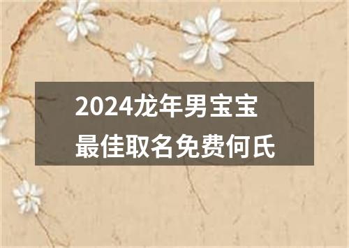 2024龙年男宝宝最佳取名免费何氏