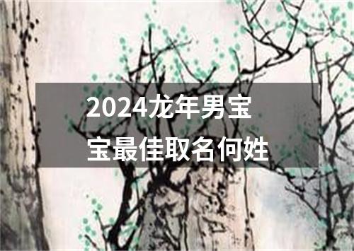 2024龙年男宝宝最佳取名何姓