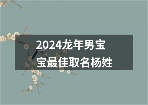 2024龙年男宝宝最佳取名杨姓