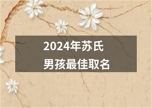 2024年苏氏男孩最佳取名