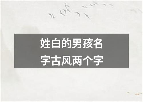 姓白的男孩名字古风两个字