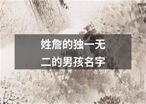 姓詹的独一无二的男孩名字