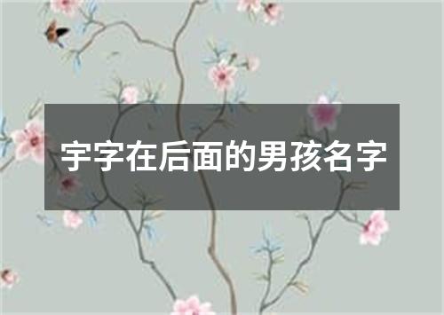 宇字在后面的男孩名字