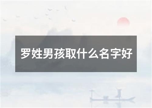 罗姓男孩取什么名字好