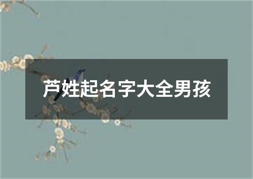 芦姓起名字大全男孩