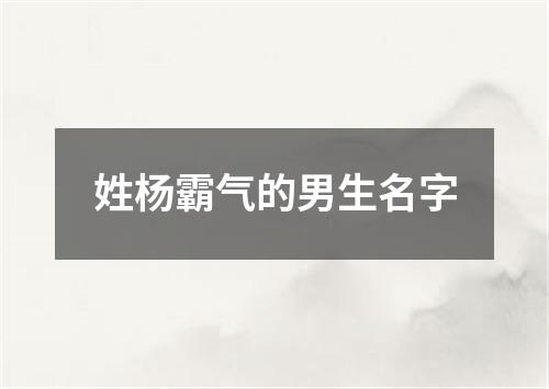 姓杨霸气的男生名字