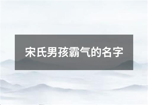 宋氏男孩霸气的名字