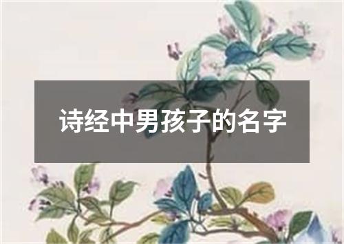 诗经中男孩子的名字