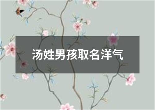 汤姓男孩取名洋气