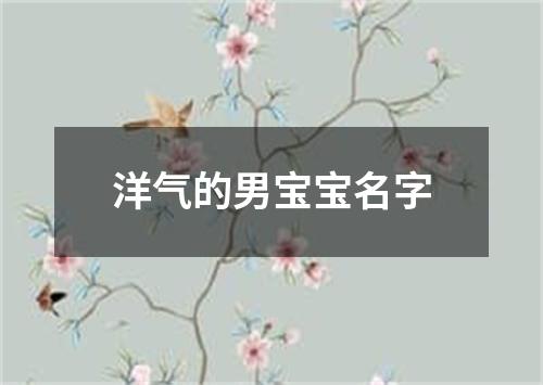 洋气的男宝宝名字