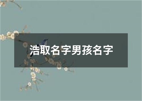 浩取名字男孩名字