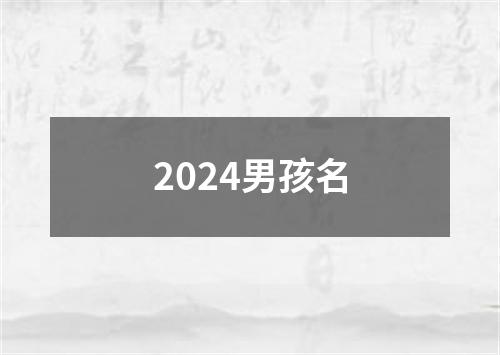 2024男孩名