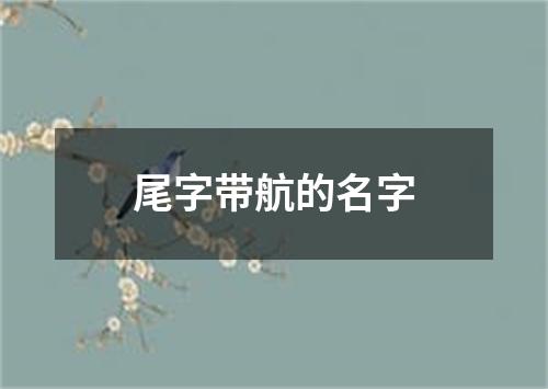 尾字带航的名字