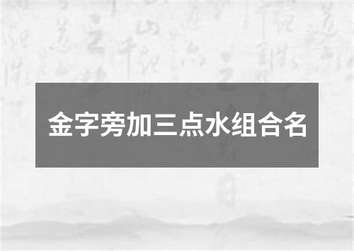 金字旁加三点水组合名