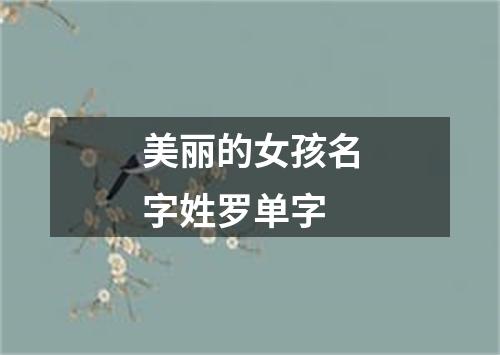 美丽的女孩名字姓罗单字