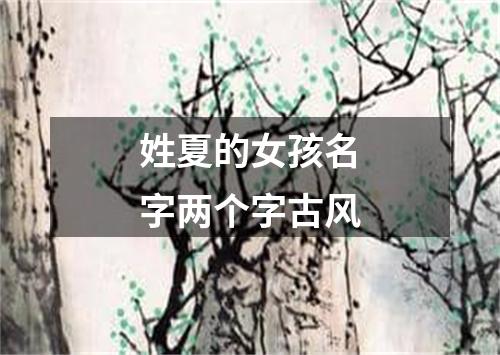 姓夏的女孩名字两个字古风