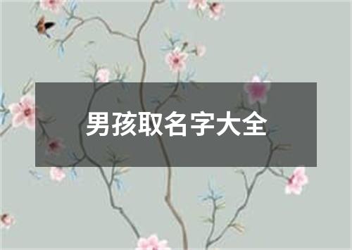 男孩取名字大全