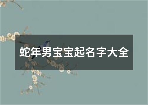 蛇年男宝宝起名字大全