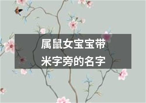 属鼠女宝宝带米字旁的名字