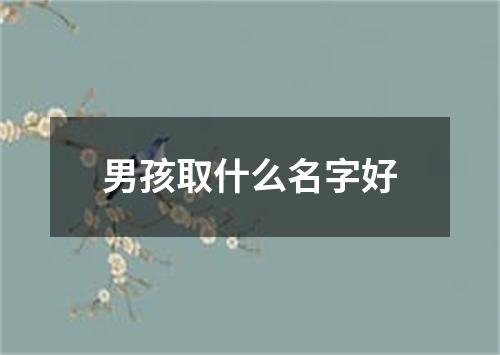 男孩取什么名字好