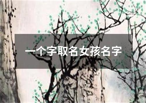 一个字取名女孩名字