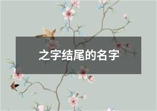 之字结尾的名字