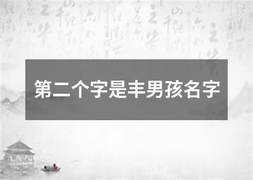 第二个字是丰男孩名字