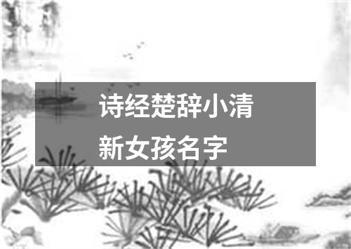 诗经楚辞小清新女孩名字