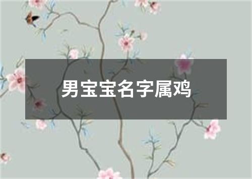 男宝宝名字属鸡