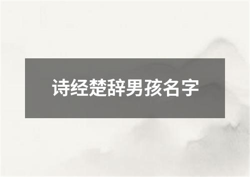 诗经楚辞男孩名字