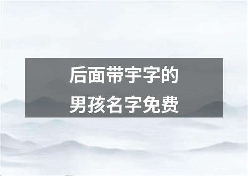 后面带宇字的男孩名字免费