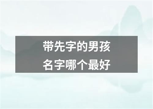 带先字的男孩名字哪个最好