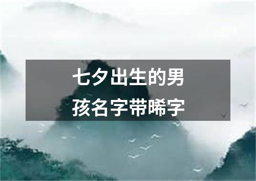 七夕出生的男孩名字带晞字