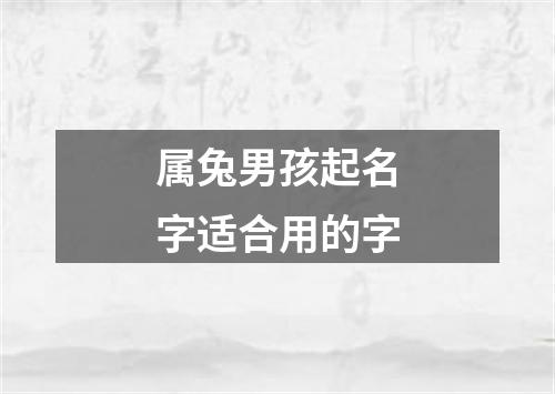 属兔男孩起名字适合用的字