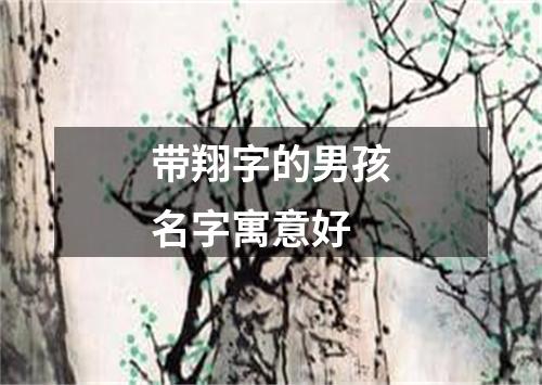 带翔字的男孩名字寓意好