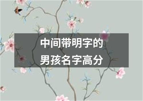 中间带明字的男孩名字高分