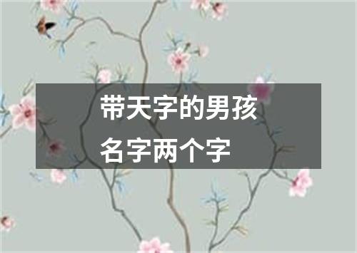 带天字的男孩名字两个字