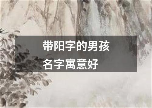 带阳字的男孩名字寓意好