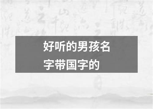 好听的男孩名字带国字的