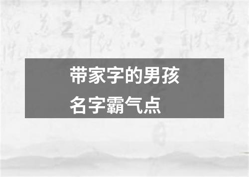 带家字的男孩名字霸气点