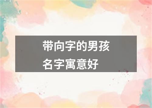 带向字的男孩名字寓意好