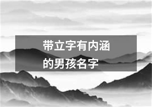 带立字有内涵的男孩名字