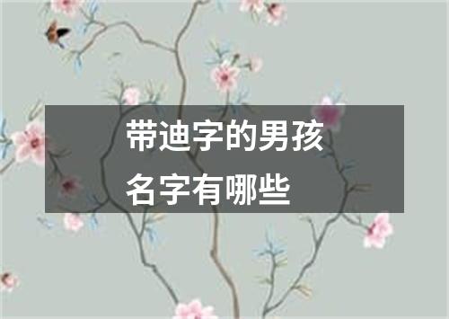 带迪字的男孩名字有哪些