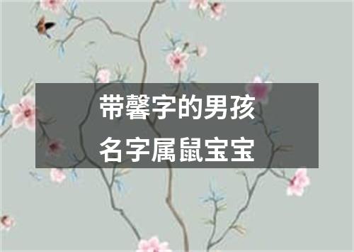 带馨字的男孩名字属鼠宝宝