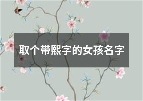 取个带熙字的女孩名字