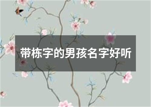 带栋字的男孩名字好听