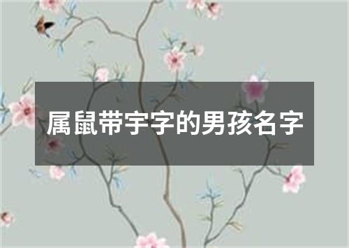 属鼠带宇字的男孩名字